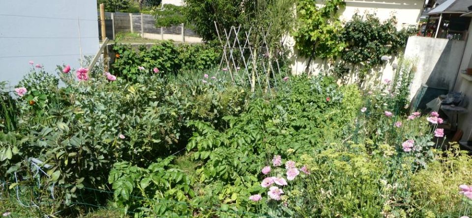 Notre petit jardin Breton
